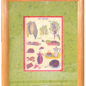 Le cacao : de la fève au gâteau