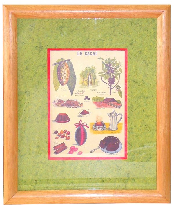 Le cacao : de la fève au gâteau