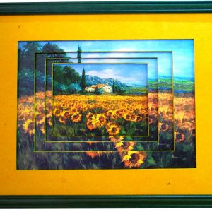 Champ de tournesol