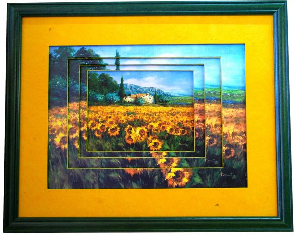 Champ de tournesol