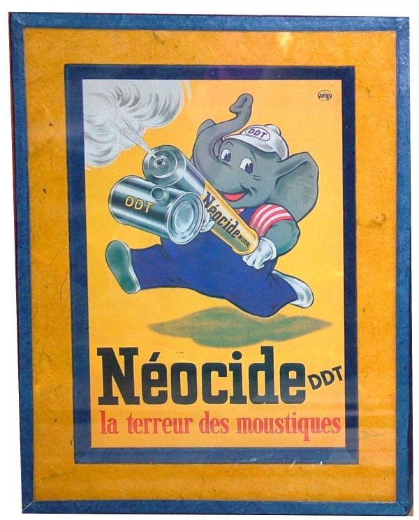 Néocide