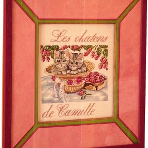 Les chatons de Camille