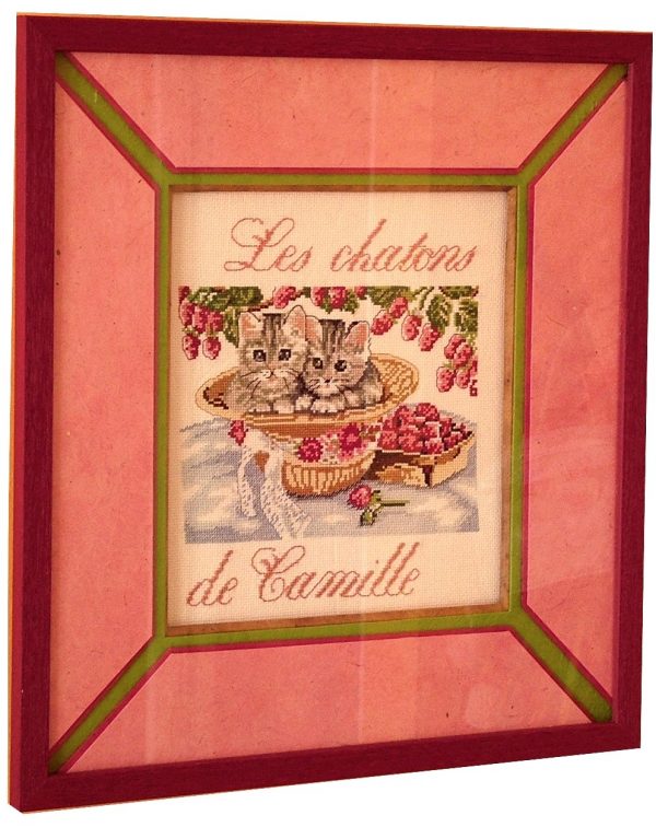 Les chatons de Camille