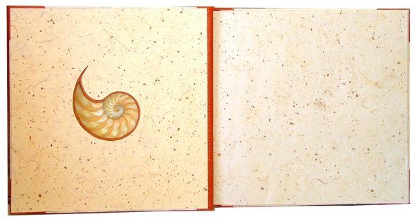 Album photo Nautile – Image 2