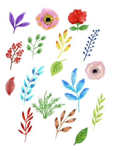 Aquarelle fleurs, atelier du Chat Perché, encadreur Caen, encadreur Normandie